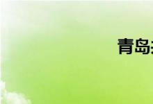 青岛共享汽车