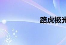 路虎极光保养灯归零