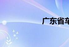 广东省车辆违章查询