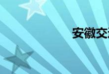 安徽交通违章查询
