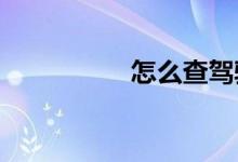 怎么查驾驶证邮寄状态