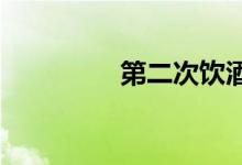 第二次饮酒驾驶怎么处理