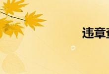 违章查询 广东