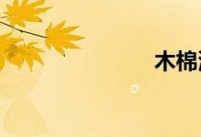 木棉湾地铁站