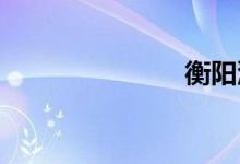衡阳汽车违章