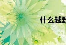 什么越野车性价比高