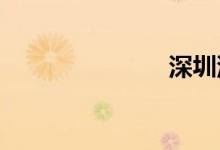 深圳汽车增量