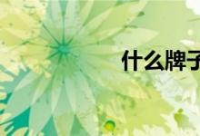 什么牌子的电动车好