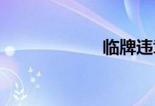 临牌违章能拍到吗