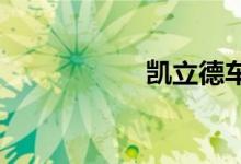 凯立德车载导航升级