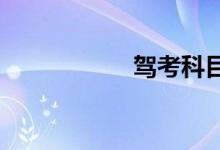驾考科目三全程视频