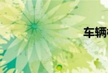 车辆档案查询