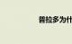 普拉多为什么叫霸道