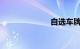 自选车牌号技巧
