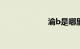 渝b是哪里的车牌