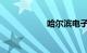 哈尔滨电子违章查询