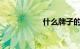 什么牌子的电动车好