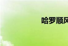 哈罗顺风车车主要求