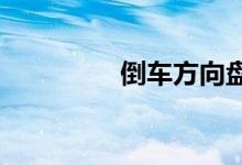 倒车方向盘左右分不清楚