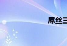 屌丝三宝什么车