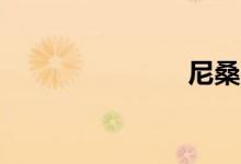 尼桑qashqai