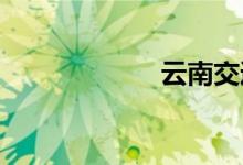 云南交通违章查询