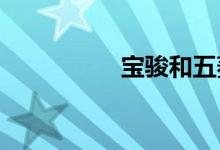 宝骏和五菱哪个质量好