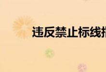 违反禁止标线指示扣3分罚多少钱