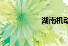 湖南机动车违章查询