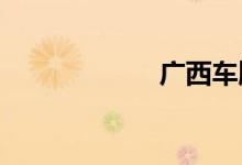 广西车牌字母代表