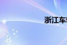 浙江车辆违章查询