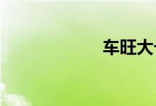 车旺大卡行车定位