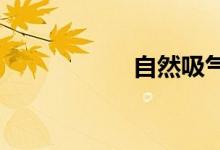 自然吸气和涡轮增压