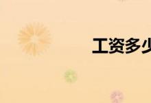 工资多少养得起野马