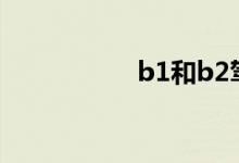 b1和b2驾驶证哪个好