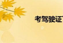 考驾驶证下载什么软件