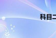 科目二定点停车