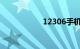 12306手机核验不了