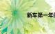 新车第一年保险多少钱