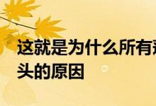 这就是为什么所有莲花车辆名称都以字母E开头的原因