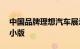 中国品牌理想汽车展示了旗舰跨界车L9的缩小版