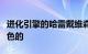 进化引擎的哈雷戴维森黑腹实际上到处都是黑色的