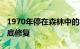 1970年停在森林中的福特野马Mach1需要彻底修复