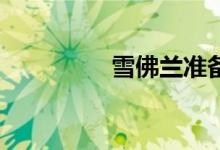 雪佛兰准备生产宽体Z06