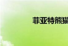 菲亚特熊猫 4x4 重新上市