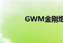GWM金刚炮在市场进行测试