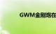 GWM金刚炮在市场进行测试