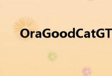 OraGoodCatGT是一款小型运动型EV