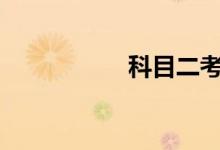 科目二考试视频2018