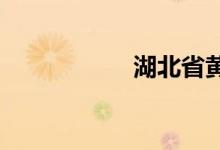 湖北省黄冈市罗田县